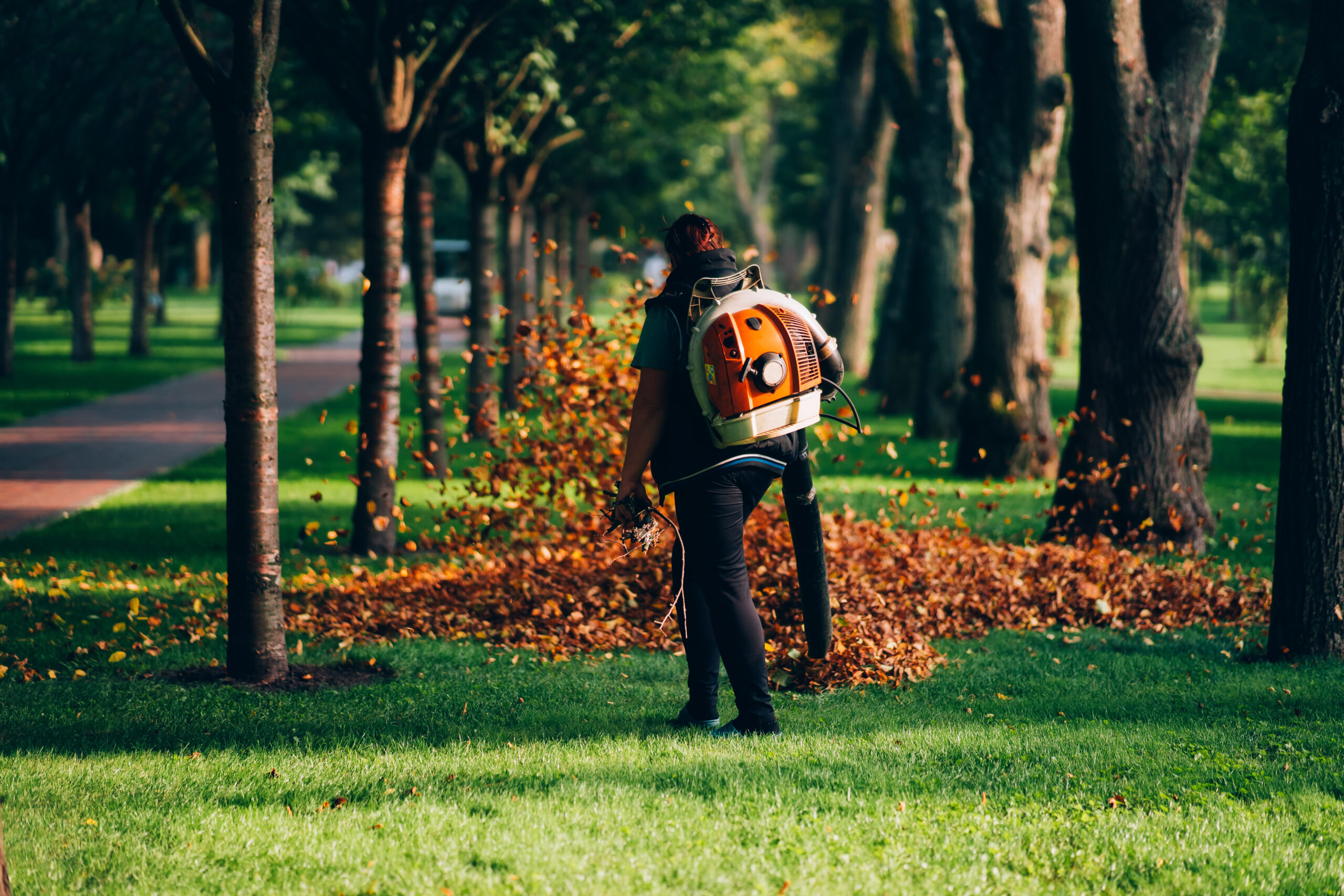A woman operating a heavy duty leaf blower. Leaves being swirled up